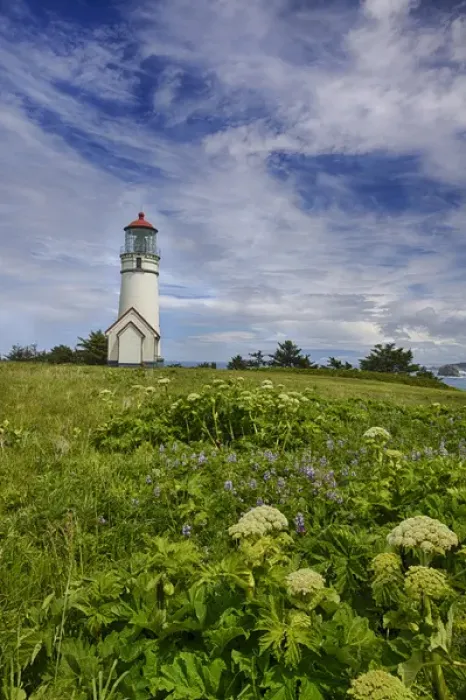 Framed Print : North America; USA Oregon; Cape Blanco Lighthouse on the Oregon Cpastline with clouds Framed Print : North America; USA Oregon; Cape Blanco Lighthouse on the Oregon Cpastline with clouds