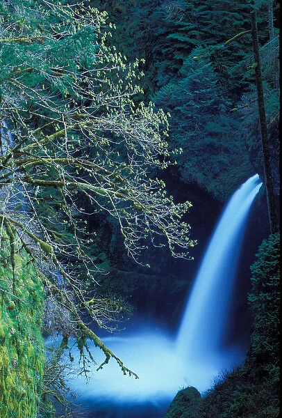 North America; USA; Oregon; Columbia River Gorge; Eagle Creek Metlako Falls