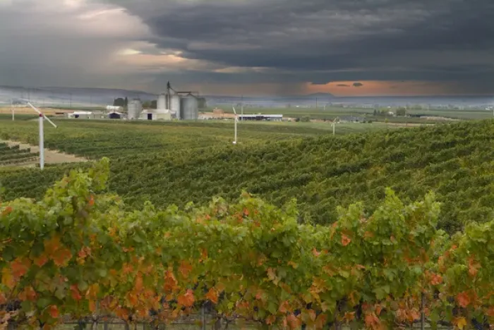 Framed Print : North America, USA, Oregon, Milton Freewater. Seven Hills Vineyard Framed Print : North America, USA, Oregon, Milton Freewater. Seven Hills Vineyard