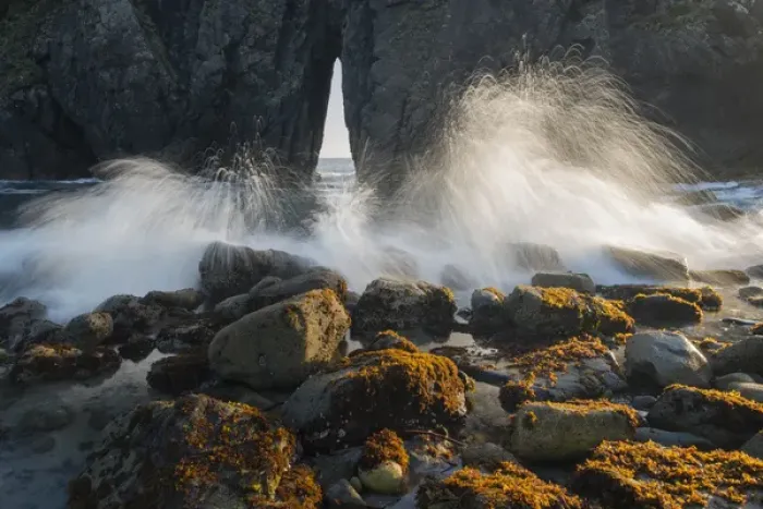Framed Print : North America, USA, Oregon. Ocean spray over lichen covered rocks at arch, Harris Beach State Park