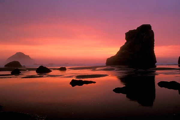 North America, USA, Oregon. Oregon coast at sunset