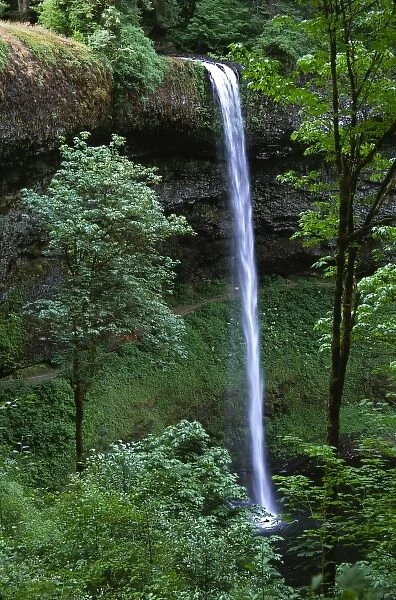North America, USA, Oregon, Silver Falls State Park. North Falls