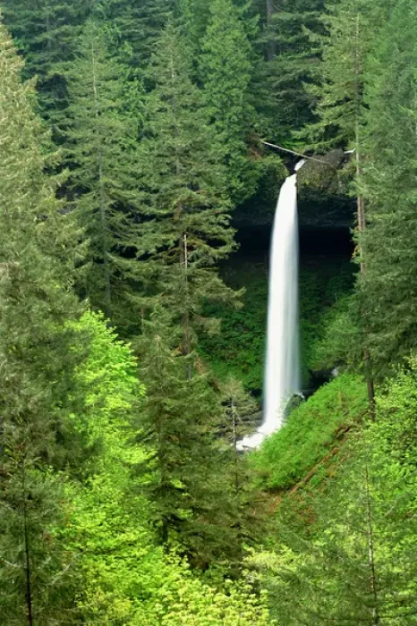 Framed Print : North America, USA, Oregon, Silver Falls State Park. North Silver Falls Framed Print : North America, USA, Oregon, Silver Falls State Park. North Silver Falls
