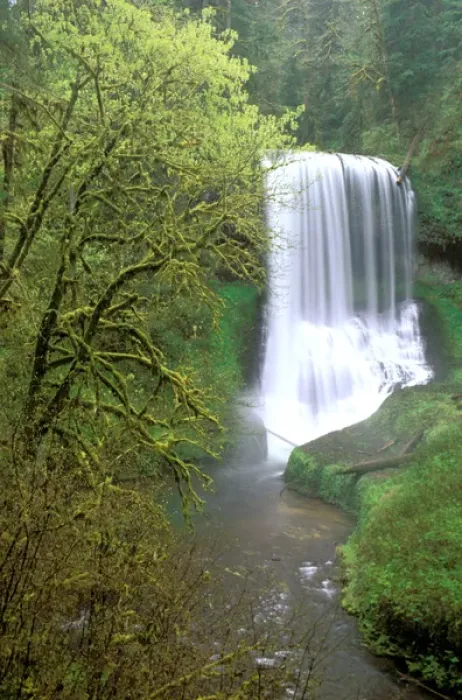 Framed Print : North America, USA, Oregon, Silver Falls State Park. Middle North Falls and North Framed Print : North America, USA, Oregon, Silver Falls State Park. Middle North Falls and North