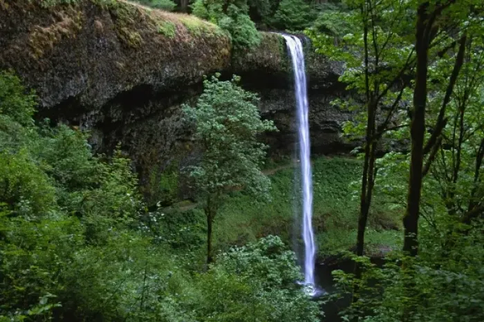 Framed Print : North America, USA, Oregon, Silver Falls State Park. North Falls