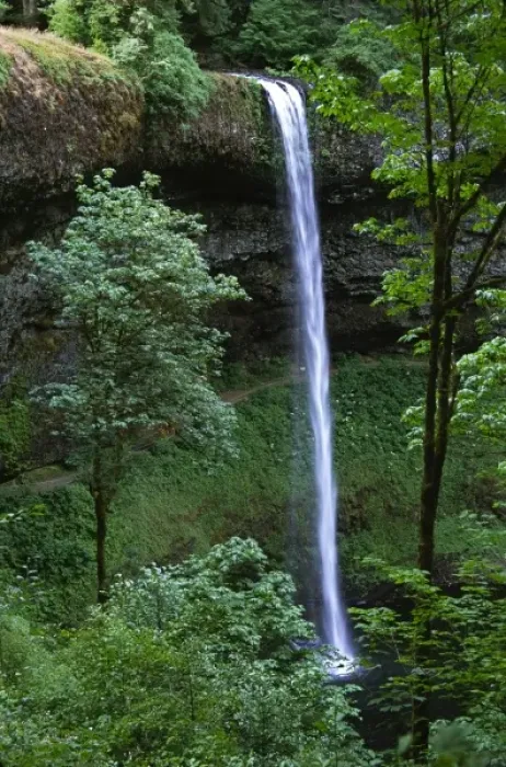 Framed Print : North America, USA, Oregon, Silver Falls State Park. North Falls Framed Print : North America, USA, Oregon, Silver Falls State Park. North Falls