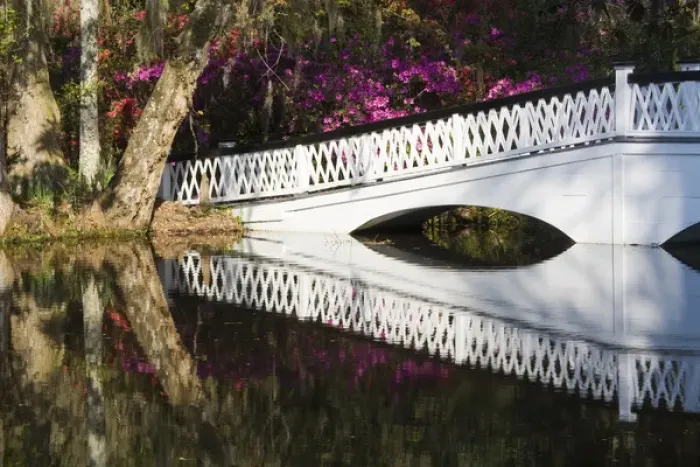 Framed Print : North America, USA, South Carolina, Charleston. Bridge in Magnolia Plantation