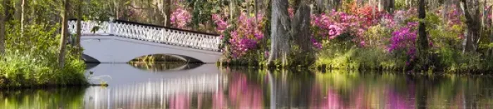 Framed Print : North America, USA, South Carolina, Charleston. Bridge in Magnolia Plantation