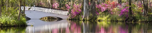 North America, USA, South Carolina, Charleston. Bridge in Magnolia Plantation