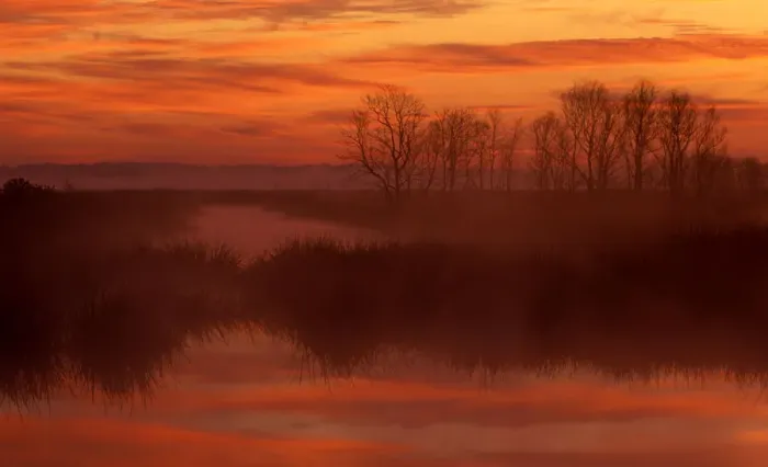 Framed Print : North America; USA; South Carolina; Foggy sunrise at Savannah National Wildlife Refuge Framed Print : North America; USA; South Carolina; Foggy sunrise at Savannah National Wildlife Refuge