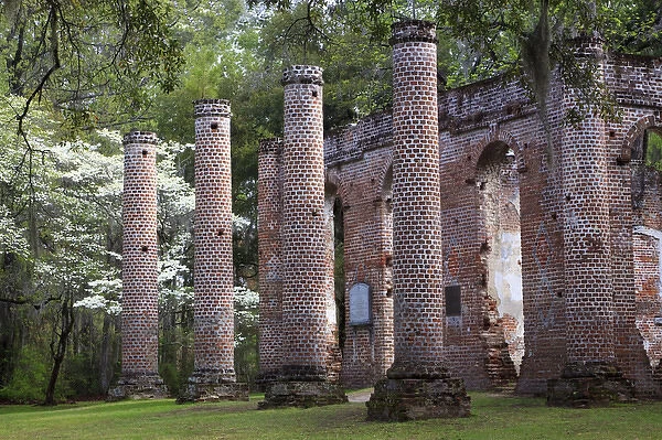North America, USA, South Carolina; Ruins in the spring of Old Sheldon Church