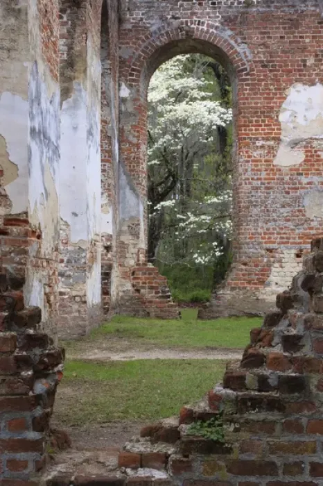 Framed Print : North America, USA, South Carolina; Ruins in the spring of Old Sheldon Church Framed Print : North America, USA, South Carolina; Ruins in the spring of Old Sheldon Church