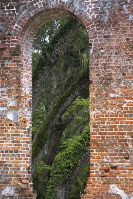 Framed Print : North America, USA, South Carolina; Ruins in the spring of Old Sheldon Church Framed Print : North America, USA, South Carolina; Ruins in the spring of Old Sheldon Church