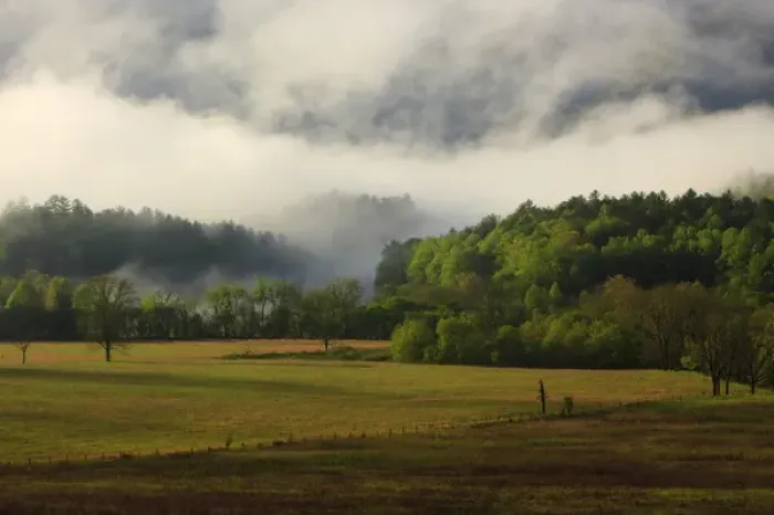 Framed Print : North America, USA, Tennessee; Foggy morning at Cades Cove in the Smokies