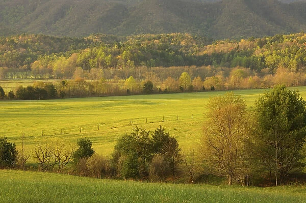 North America, USA, Tennessee, Great Smoky Mountain NP. Pasture in Cades Cove