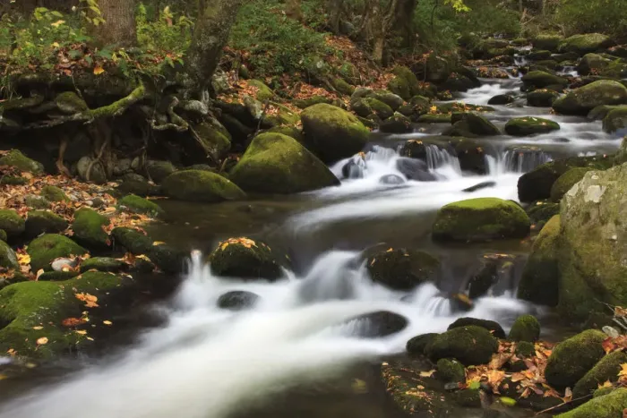Framed Print : North America, USA, Tennessee. Stream in the fall in the Great Smoky Mountains Framed Print : North America, USA, Tennessee. Stream in the fall in the Great Smoky Mountains