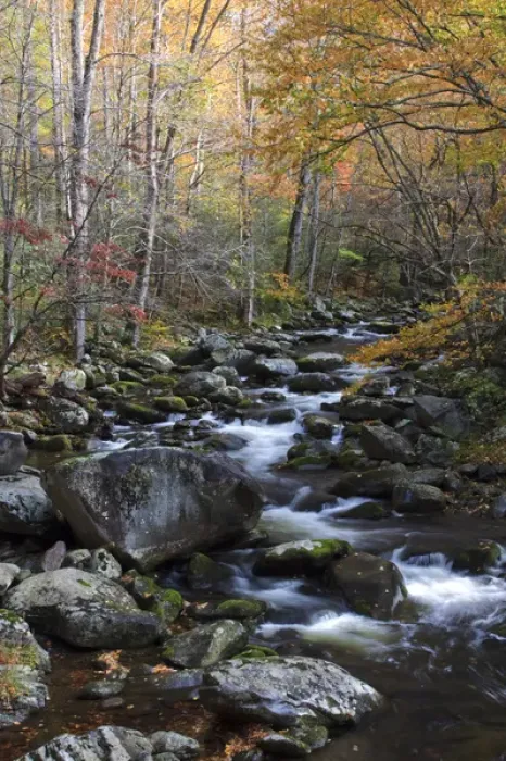 Framed Print : North America, USA, Tennessee. Stream in the fall in the Great Smoky Mountains Framed Print : North America, USA, Tennessee. Stream in the fall in the Great Smoky Mountains