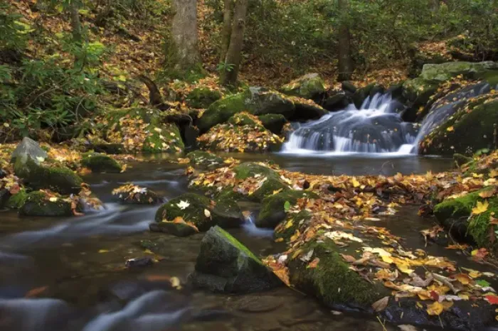 Framed Print : North America, USA, Tennessee. Stream in the fall in the Great Smoky Mountains Framed Print : North America, USA, Tennessee. Stream in the fall in the Great Smoky Mountains