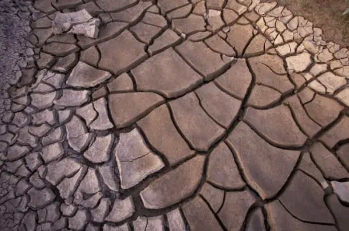 Framed Print : North America, USA, Texas, Big Bend National Park. Cracked mud