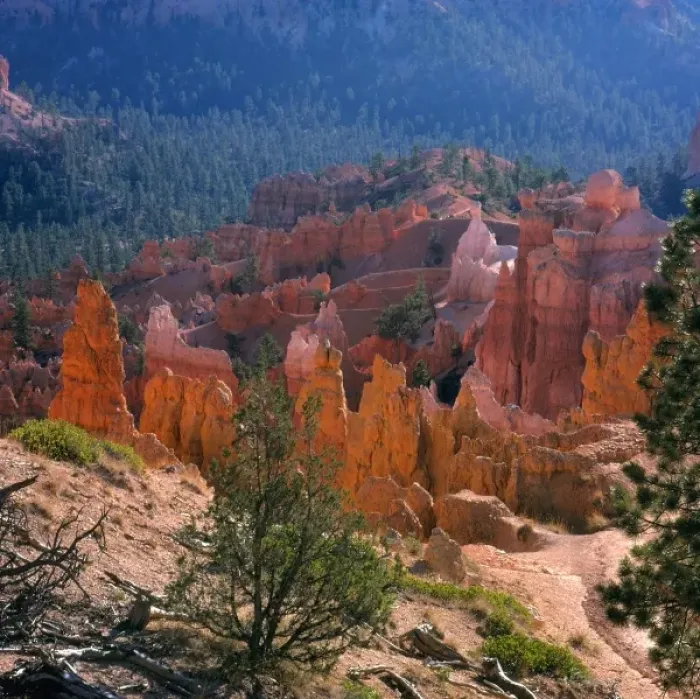 Framed Print : North America, USA, Utah, Bryce Canyon, N. P. Spires and Pinacles