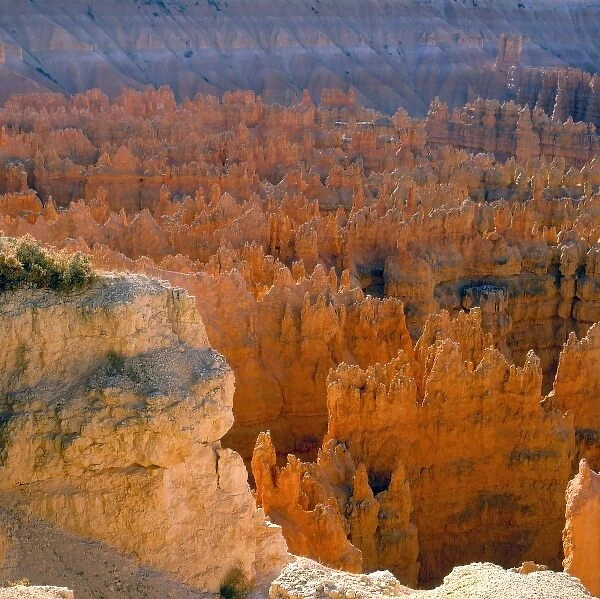 North America, USA, Utah, Bryce Canyon, N. P. Spires and Pinacles, Silent City