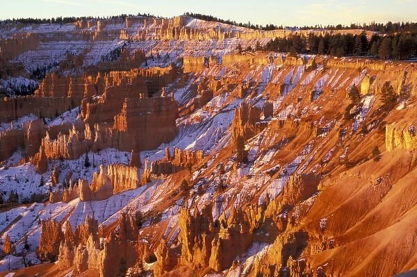 North America, USA, Utah, Bryce Canyon National Park. Bryce Ampitheater from Sunrise point