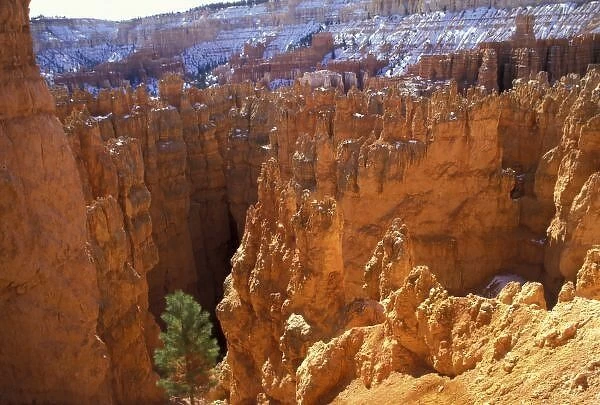 North America, USA, Utah, Bryce Canyon National Park. Wall Street, high on the Navajo