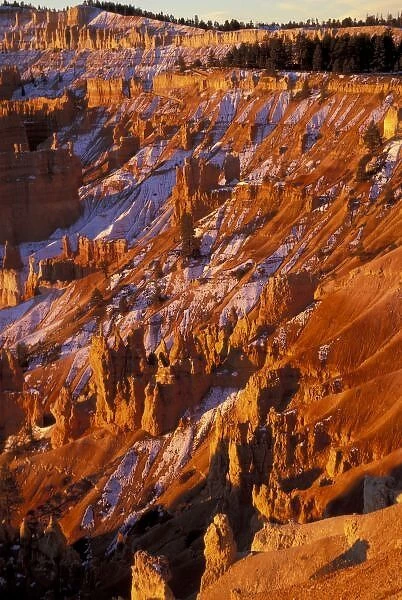 North America, USA, Utah, Bryce Canyon National Park. Bryce Ampitheater from Sunrise