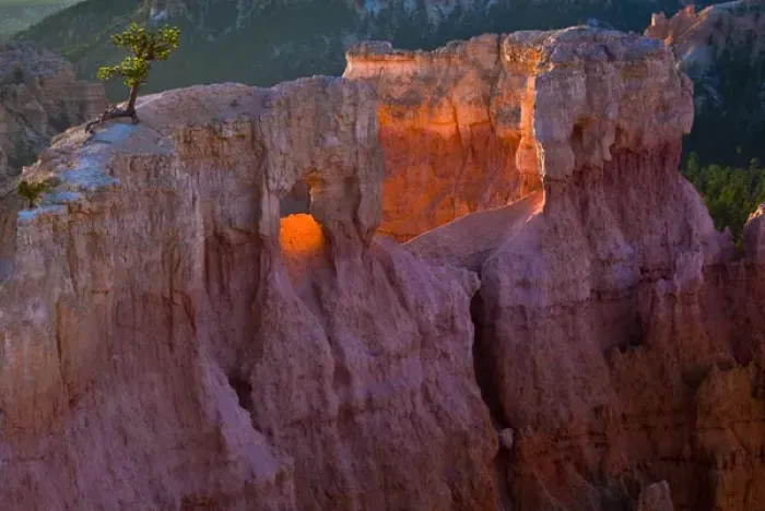 Framed Print : North America, USA, Utah, Bryce Canyon National Park. First light on the hoodoos at Sunrise Point Framed Print : North America, USA, Utah, Bryce Canyon National Park. First light on the hoodoos at Sunrise Point