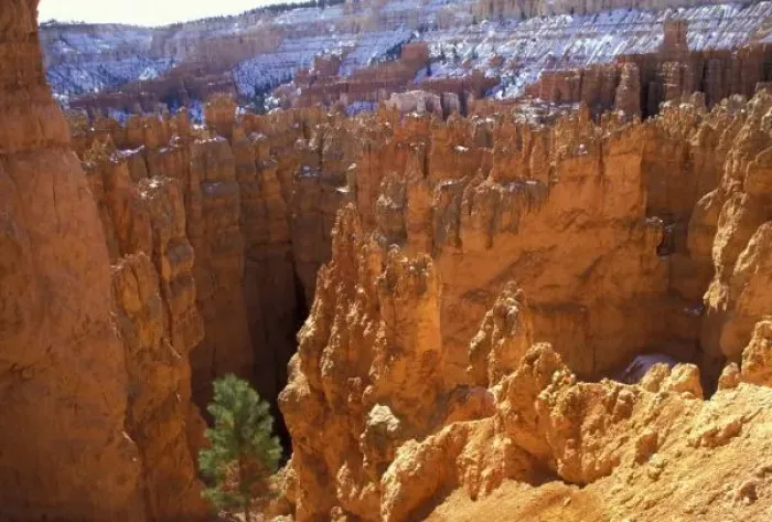 Framed Print : North America, USA, Utah, Bryce Canyon National Park. Wall Street, high on the Navajo Framed Print : North America, USA, Utah, Bryce Canyon National Park. Wall Street, high on the Navajo