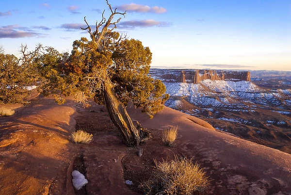 North America, USA, Utah. Overlook vista with cliffs, juniper, and snow during spring