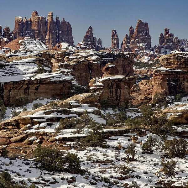 North America, USA, Utah. Snow covering formations in the Needles District of Canyonlands