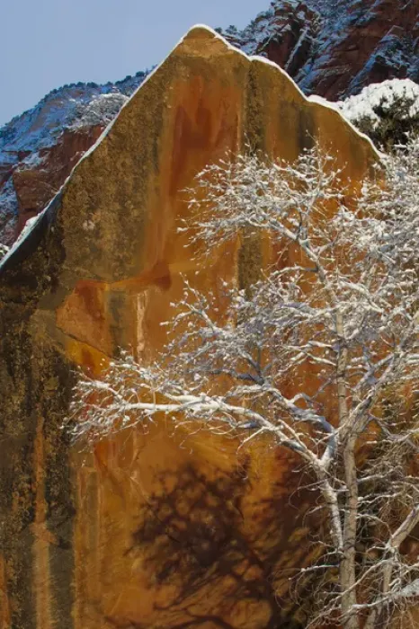 Framed Print : North America, USA, Utah, Zion National Park