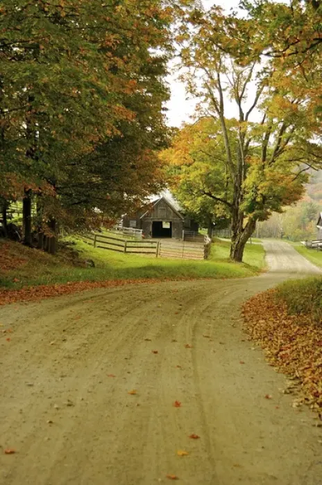 Framed Print : North America, USA, Vermont, Windsor County. A country road through a Vermont farm Framed Print : North America, USA, Vermont, Windsor County. A country road through a Vermont farm