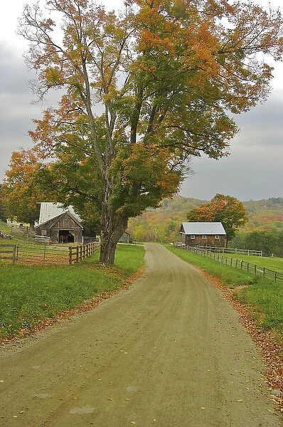 North America, USA, Vermont, Windsor County. A country road through a Vermont farm