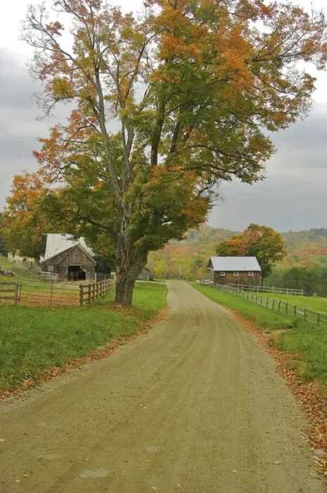 Framed Print : North America, USA, Vermont, Windsor County. A country road through a Vermont farm