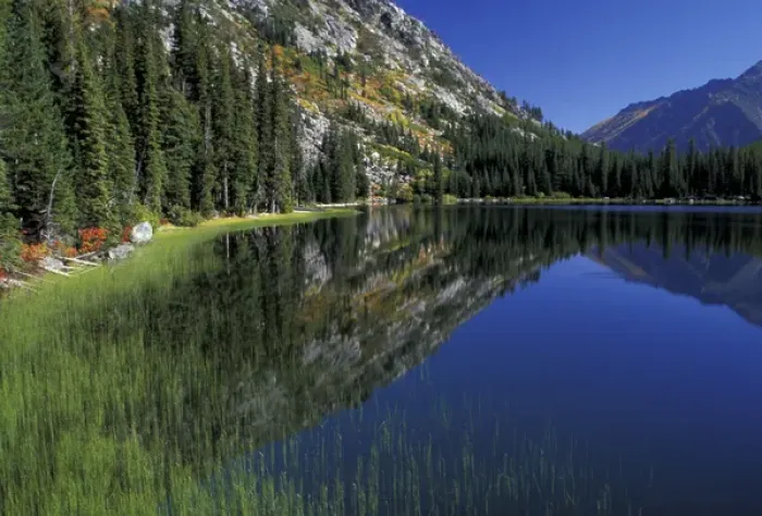 Framed Print : North America, USA, WA, Alpine Lakes Wilderness Lake Stuart, shoreline reflections Framed Print : North America, USA, WA, Alpine Lakes Wilderness Lake Stuart, shoreline reflections