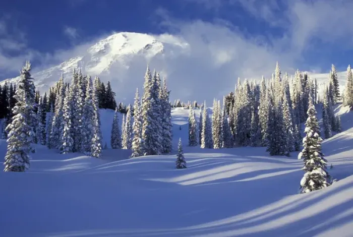 Framed Print : North America, USA, WA, Mt. Rainier NP Mt. Rainier and Paradise Valley