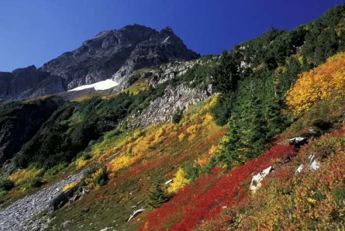 Framed Print : North America, USA, WA, North Cascades NP Autumn at Cascade Pass with Mix-up peak Framed Print : North America, USA, WA, North Cascades NP Autumn at Cascade Pass with Mix-up peak