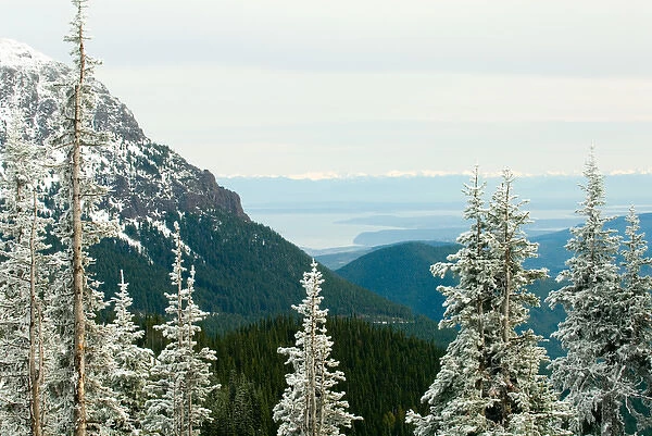 North America, USA, WA, Olympic National Park. View from Olympic Mountains across