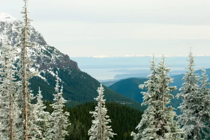 Framed Print : North America, USA, WA, Olympic National Park. View from Olympic Mountains across Framed Print : North America, USA, WA, Olympic National Park. View from Olympic Mountains across