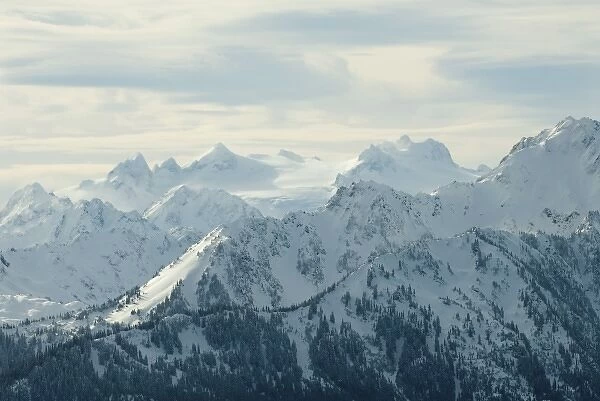 North America, USA, WA, Olympic National Park. Olympic Mountains viewed from Hurricane Ridge