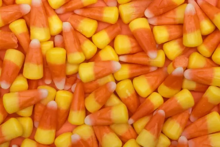 Framed Print : North America, USA, WA, Redmond candy corn patter