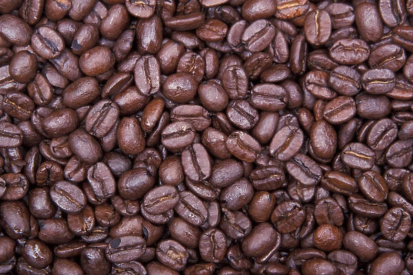 North America, USA, WA, Redmond coffee beans