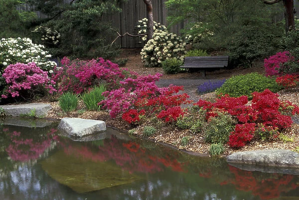 North America, USA, WA, Seattle, Washington Park Arboretum, Japanese Garden