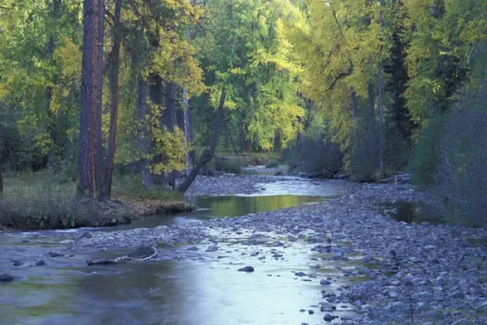 Framed Print : North America, USA, WA, Wenatchee NF Teanaway River with fall color