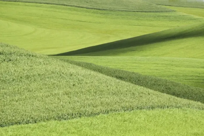 Framed Print : North America, USA, Washington. Patterns in the wheat fields in the Palouse region Framed Print : North America, USA, Washington. Patterns in the wheat fields in the Palouse region