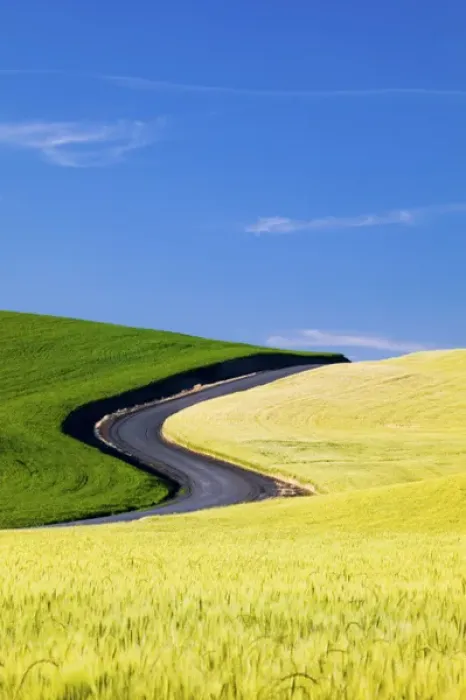 Framed Print : North America, USA, Washington, Palouse Country, Road Leading Through Spring and Winter Framed Print : North America, USA, Washington, Palouse Country, Road Leading Through Spring and Winter