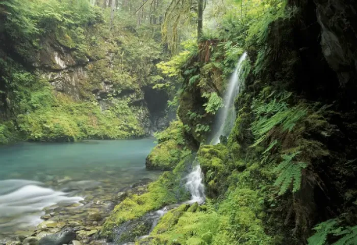 Framed Print : North America, USA, Washington, Olympic NP seasonal waterfall near Graves Creek
