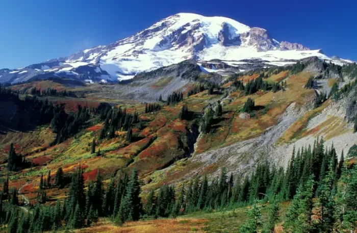 Framed Print : North America, USA, Washington, Mount Rainier National Park. Mount Rainier in Fall Framed Print : North America, USA, Washington, Mount Rainier National Park. Mount Rainier in Fall